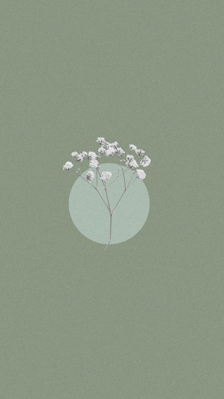 Sage Green Aesthetic Wallpapers On Ewallpapers