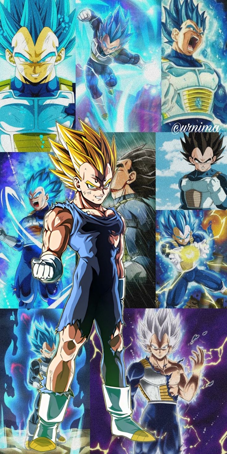 Vegeta All Forms Wallpapers On Ewallpapers