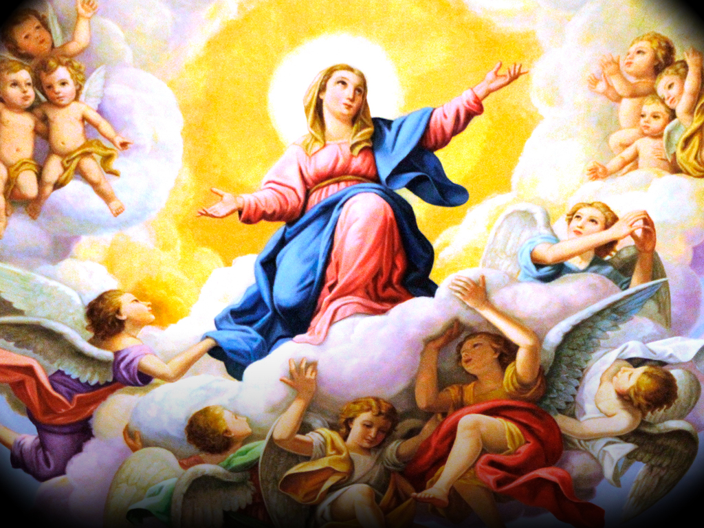 Assumption Of Mary Church Wallpapers