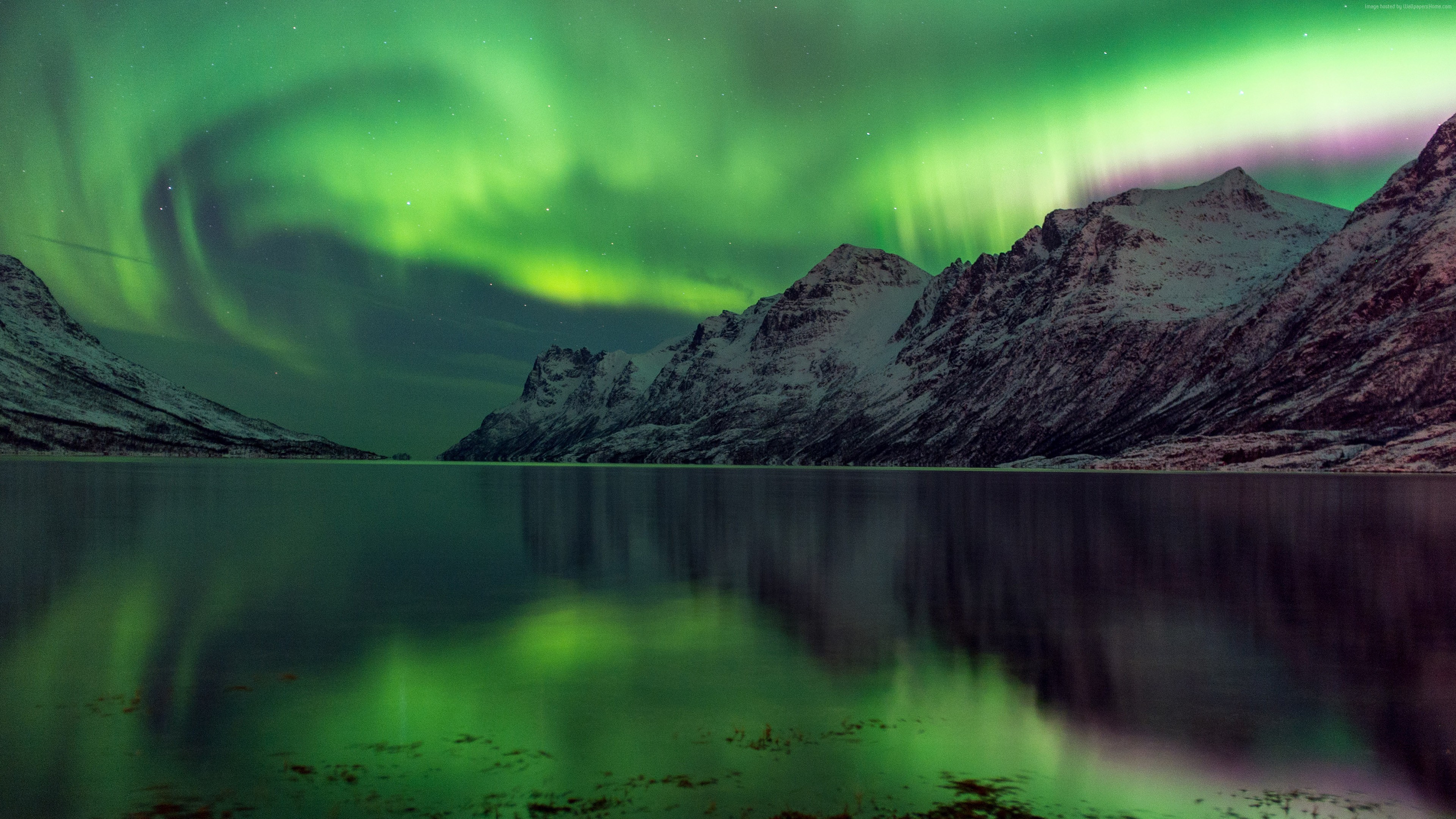 Aurora Borealis Over Winter Lake Wallpapers