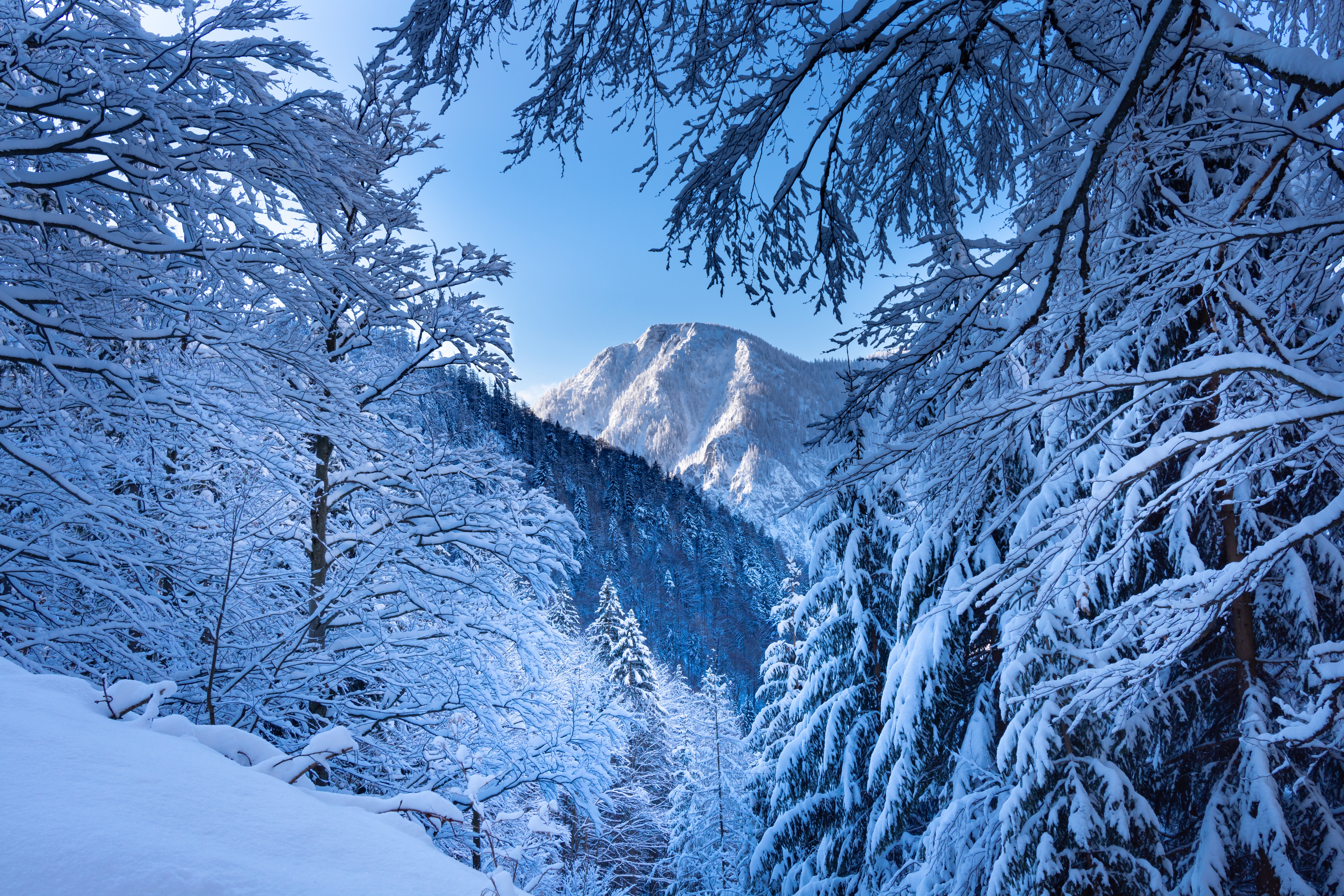 Austria Snow Alps Wallpapers