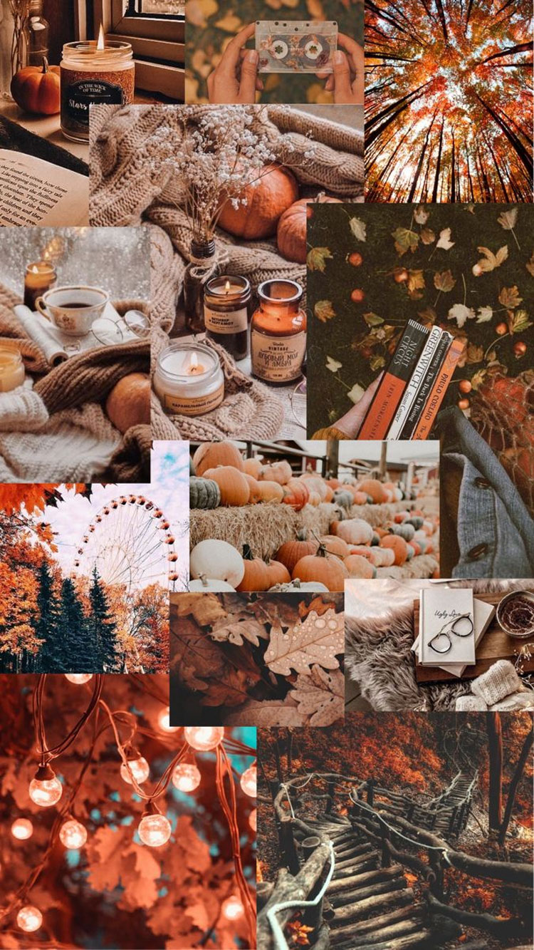 Autumn Aesthetic Wallpapers