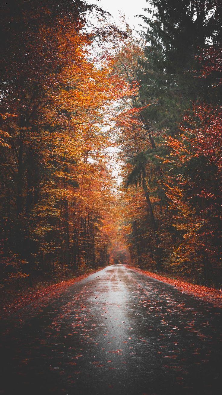 Autumn Aesthetic Iphone Wallpapers