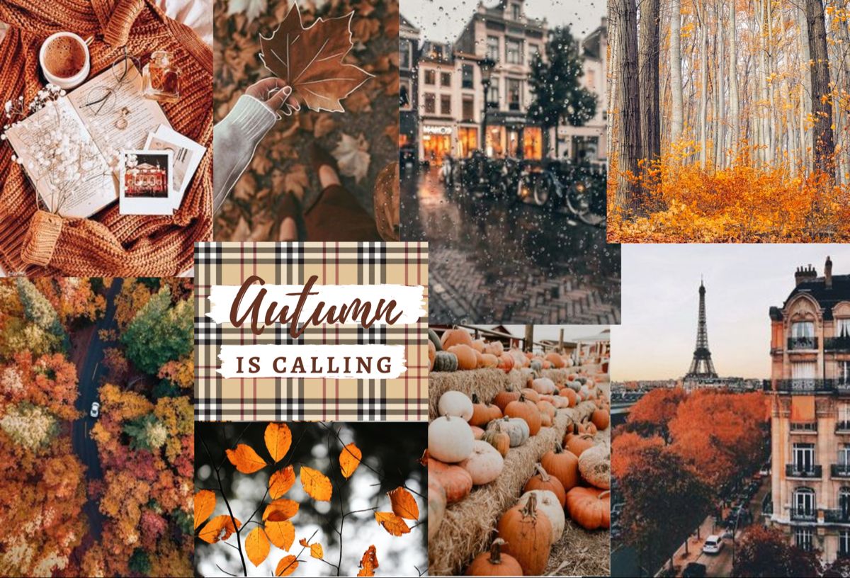 Autumn Aesthetic Laptop Wallpapers