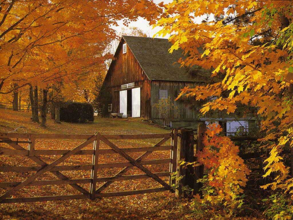 Autumn Barn Wallpapers