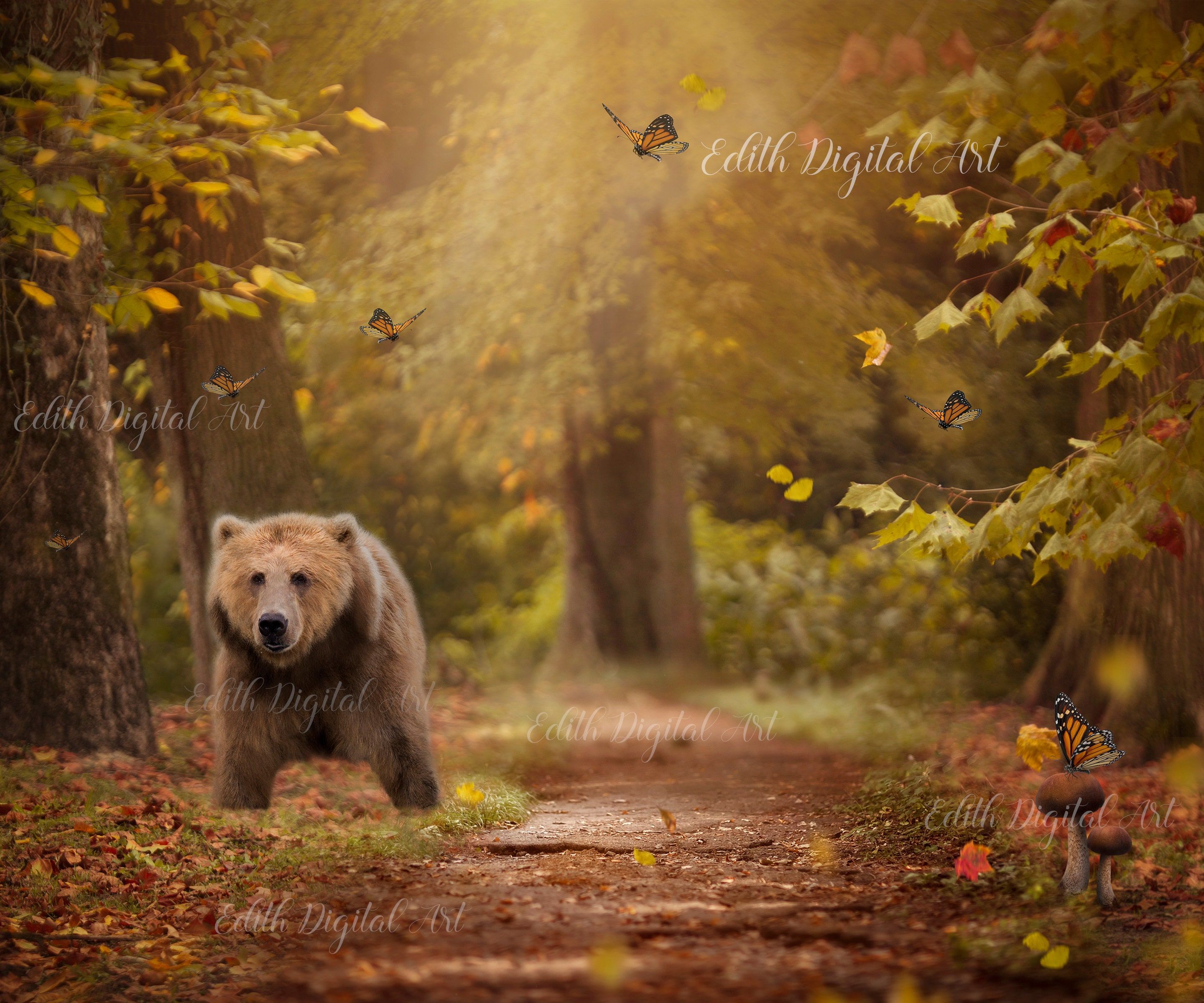 Autumn Bear Wallpapers