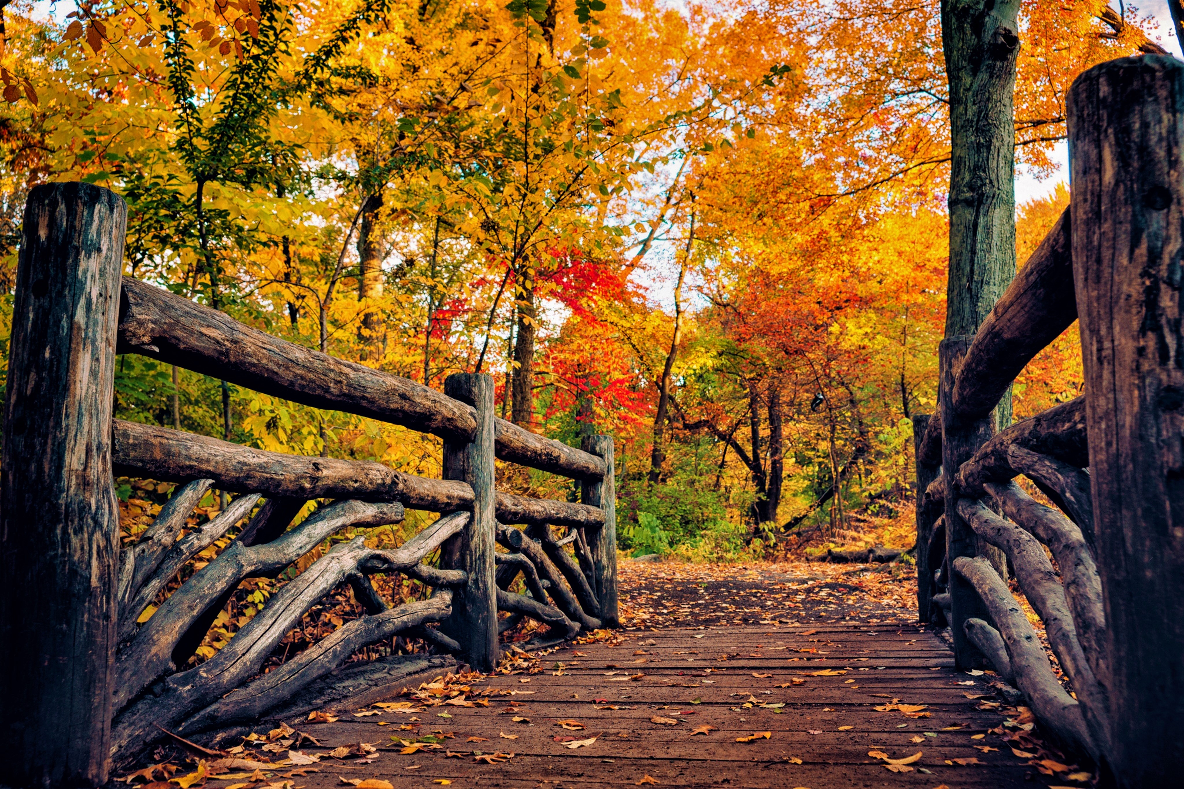 Autumn Bridge Wallpapers