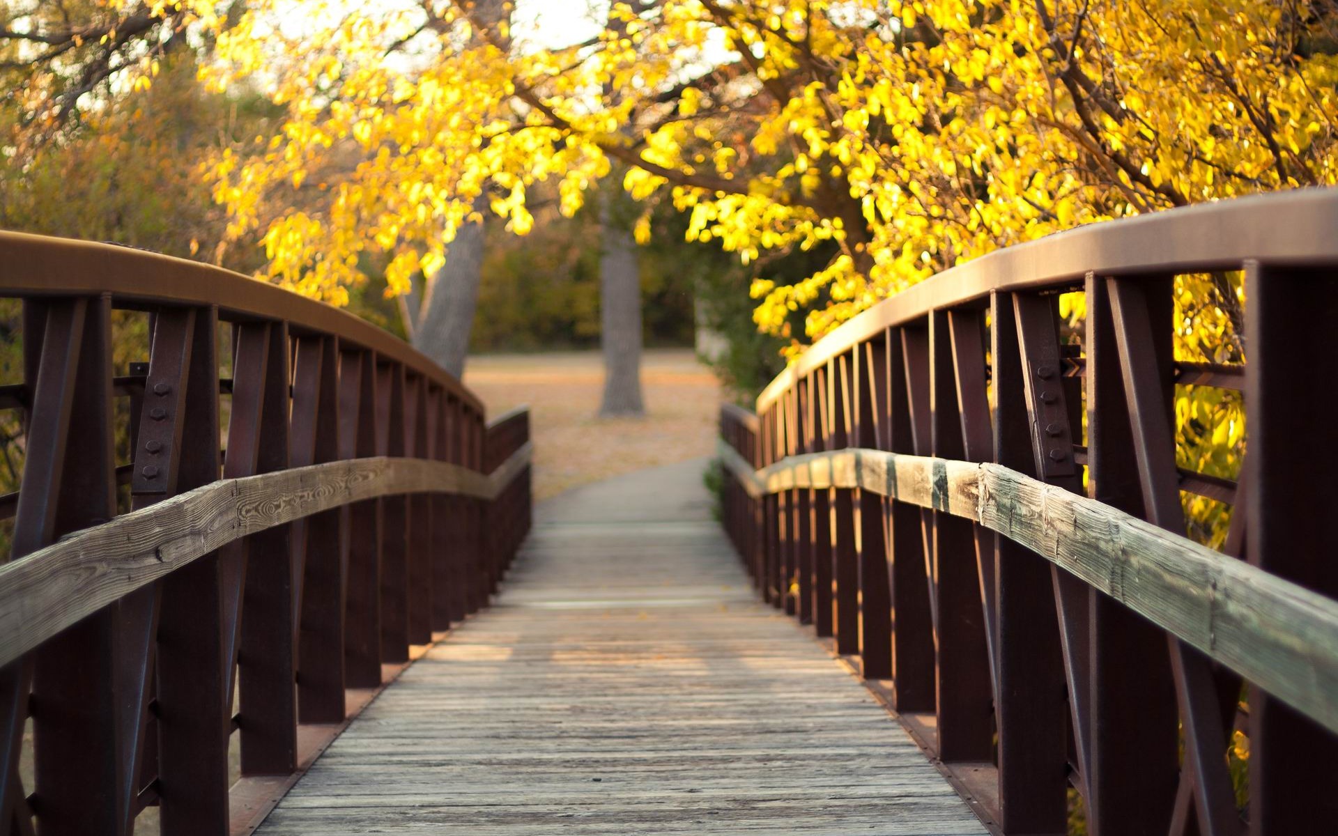 Autumn Bridge Wallpapers