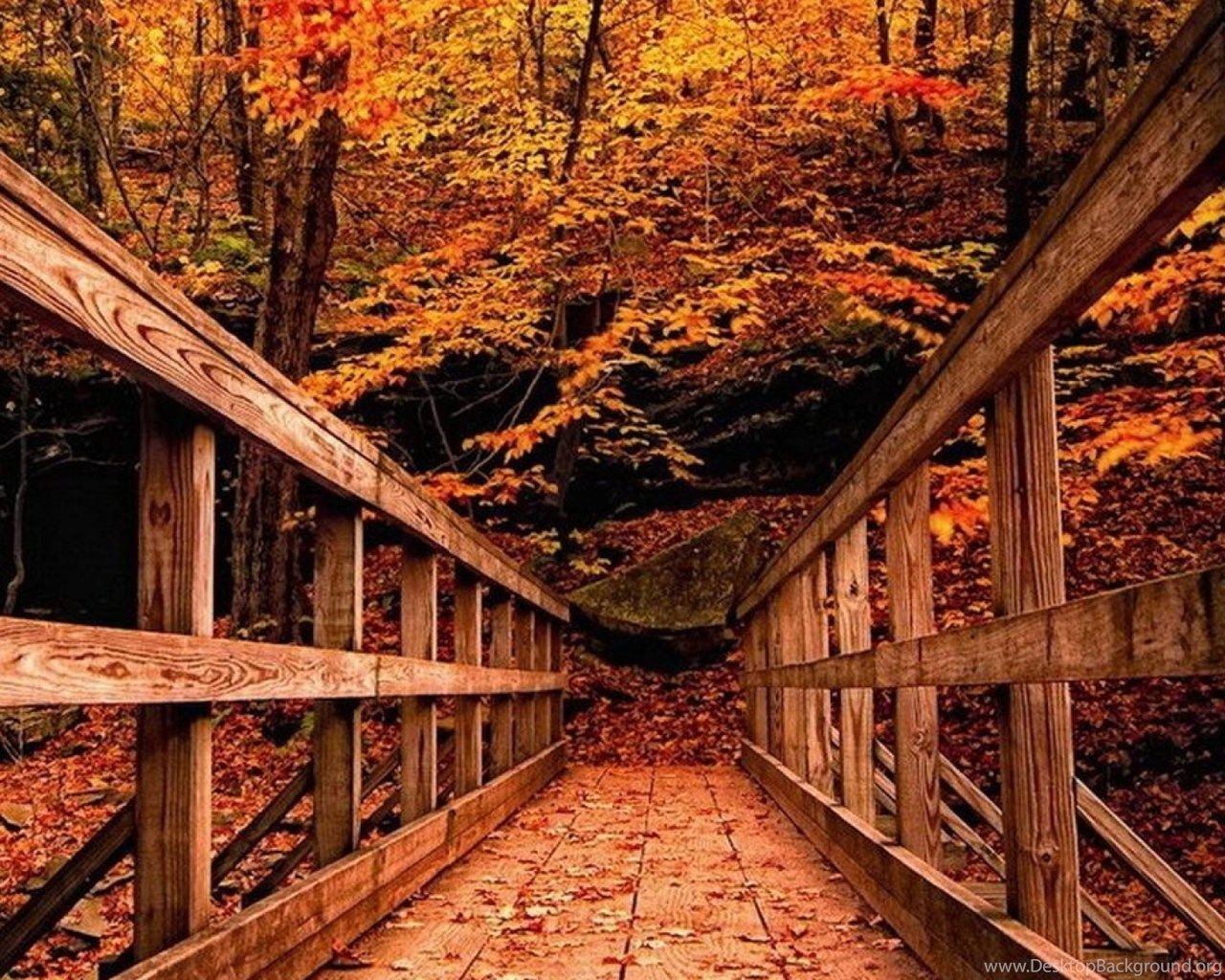 Autumn Bridge Wallpapers