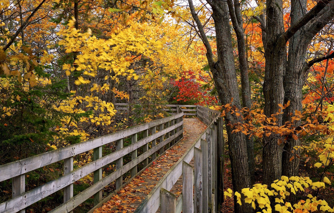 Autumn Bridge Wallpapers