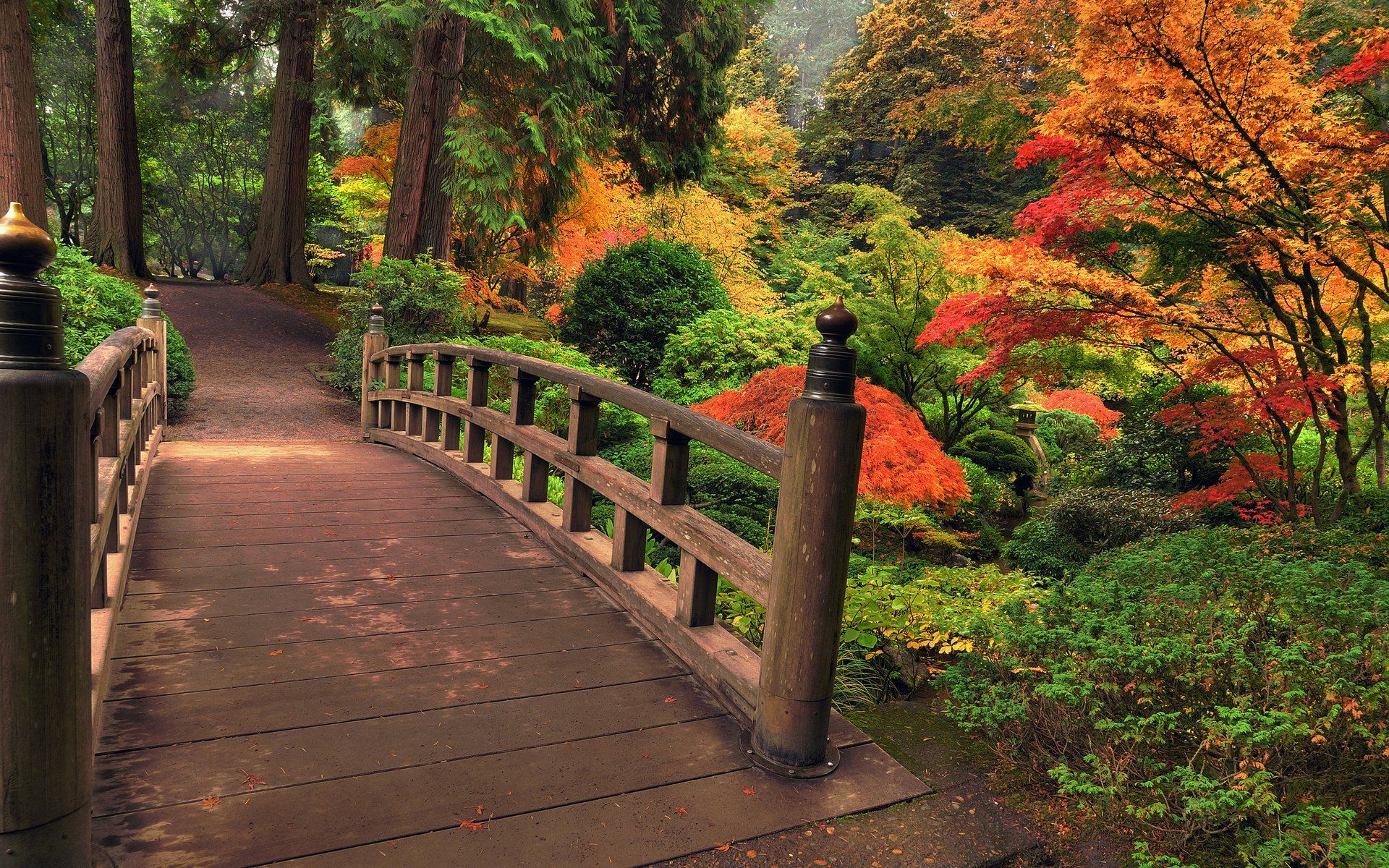 Autumn Bridge Wallpapers