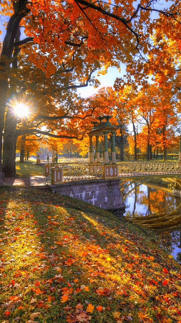 Autumn Bridge Wallpapers