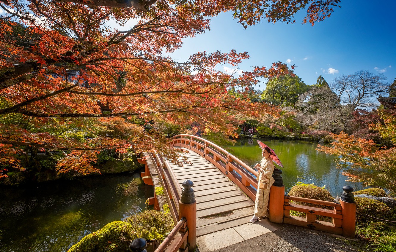 Autumn Bridge Wallpapers