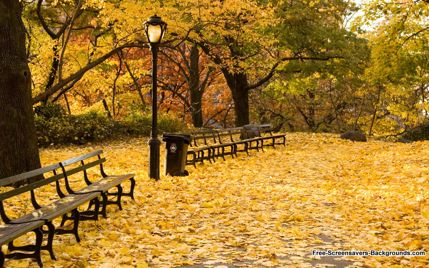 Autumn Central Park New York Wallpapers