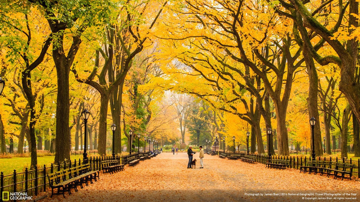 Autumn Central Park New York Wallpapers