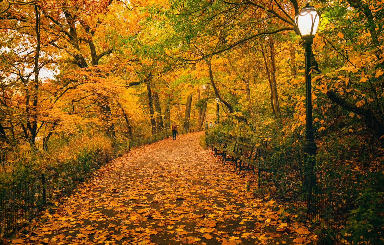 Autumn Central Park New York Wallpapers