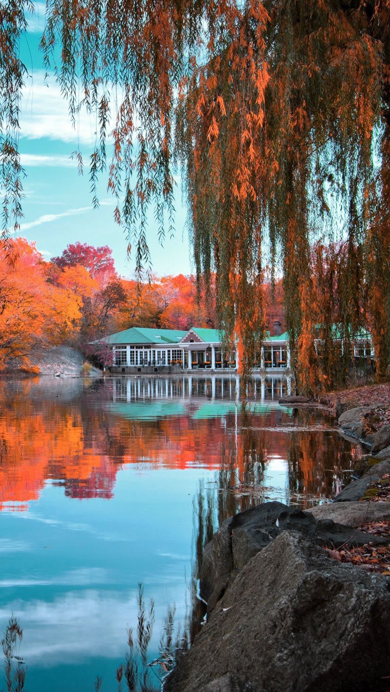 Autumn Central Park New York Wallpapers