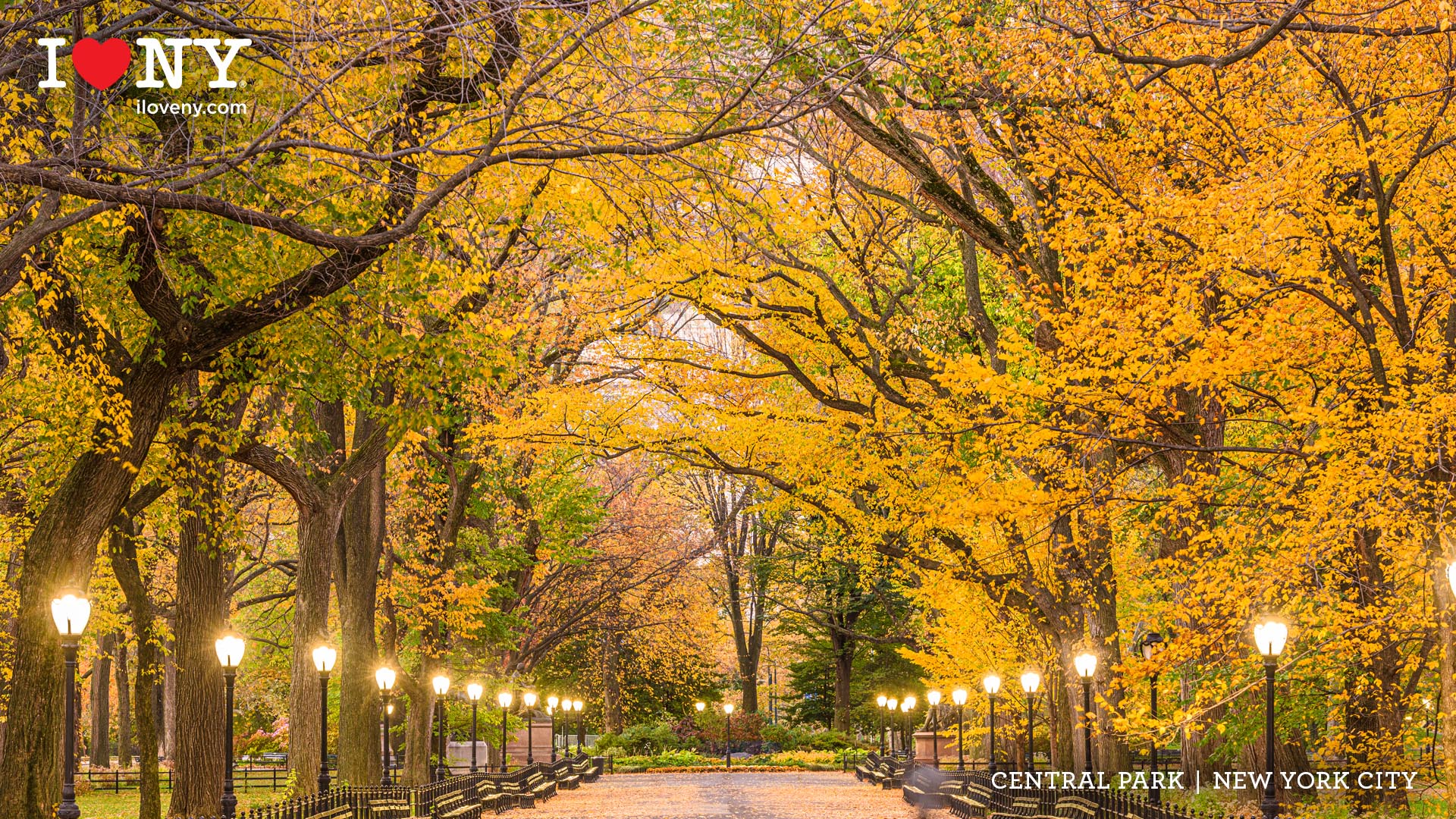 Autumn Central Park New York Wallpapers