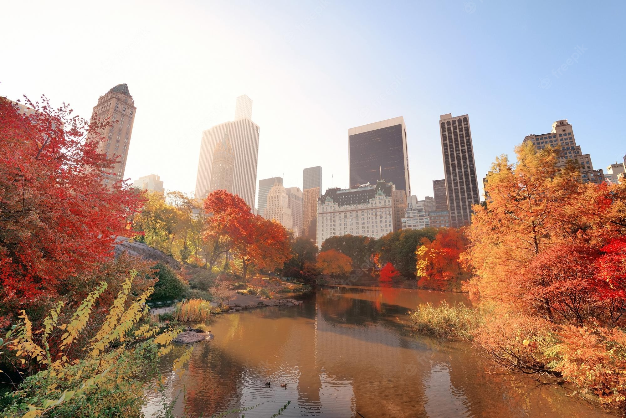 Autumn Central Park New York Wallpapers