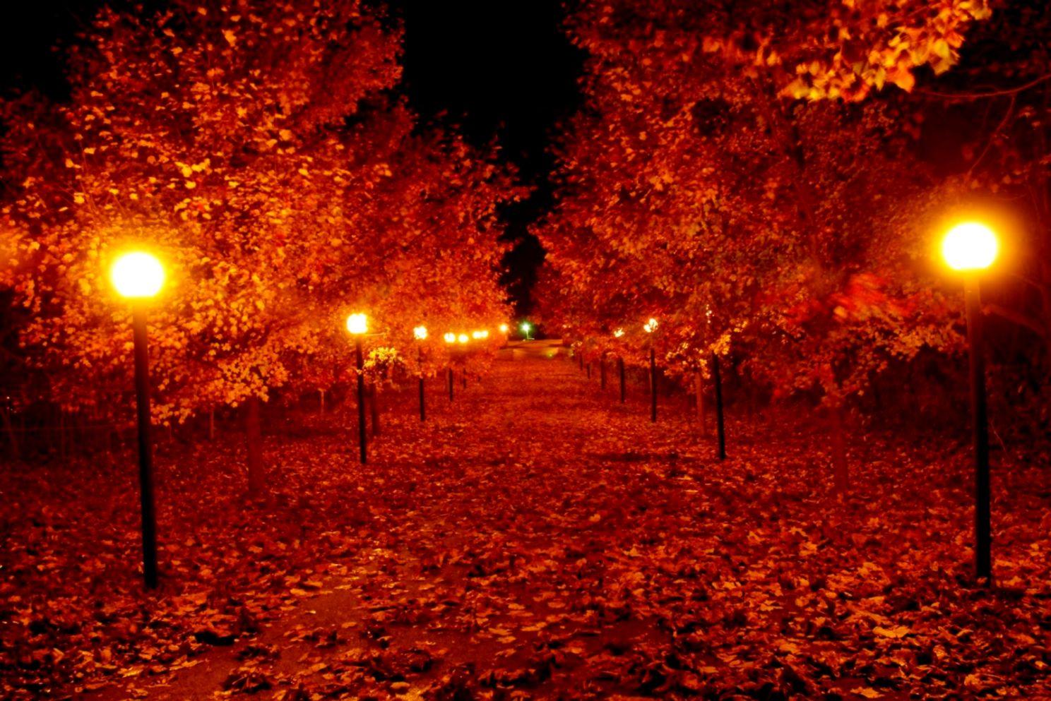 Autumn Fall Night Wallpapers