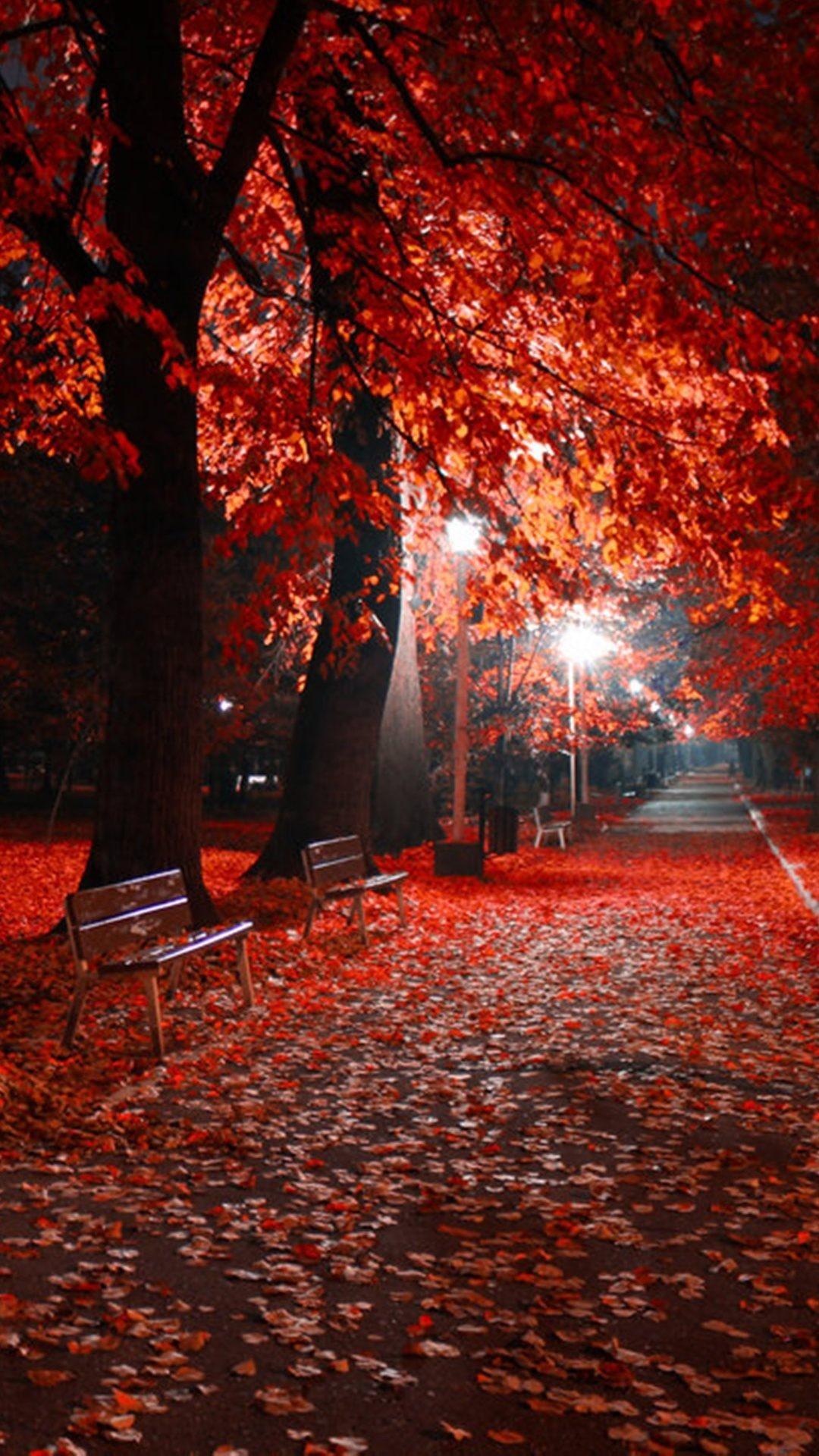 Autumn Fall Night Wallpapers