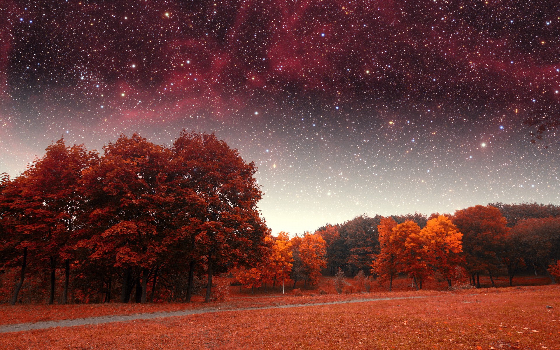 Autumn Fall Night Wallpapers