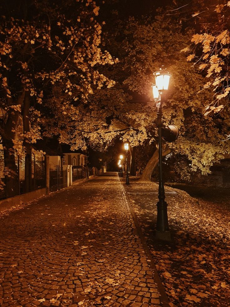 Autumn Fall Night Wallpapers