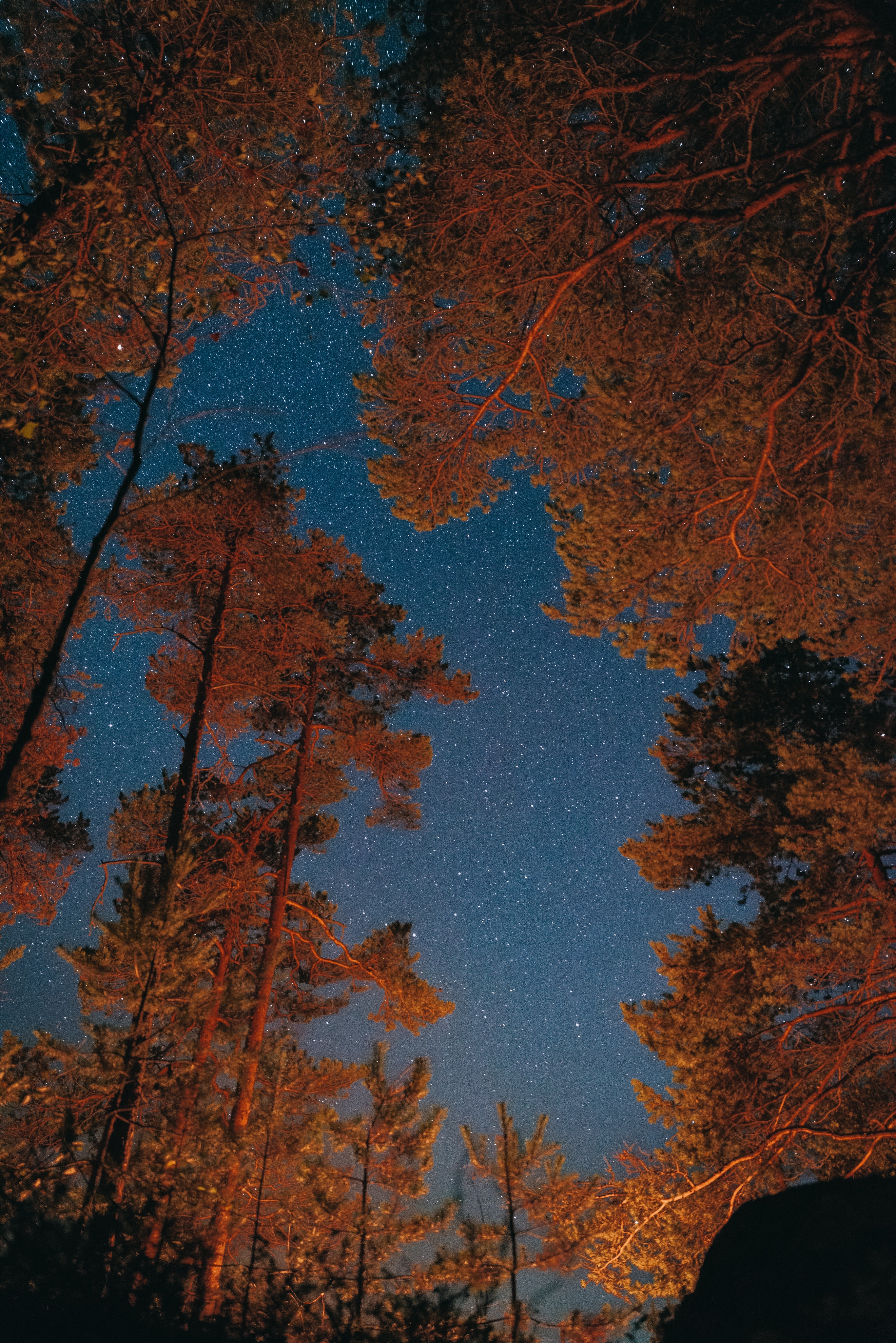 Autumn Fall Night Wallpapers