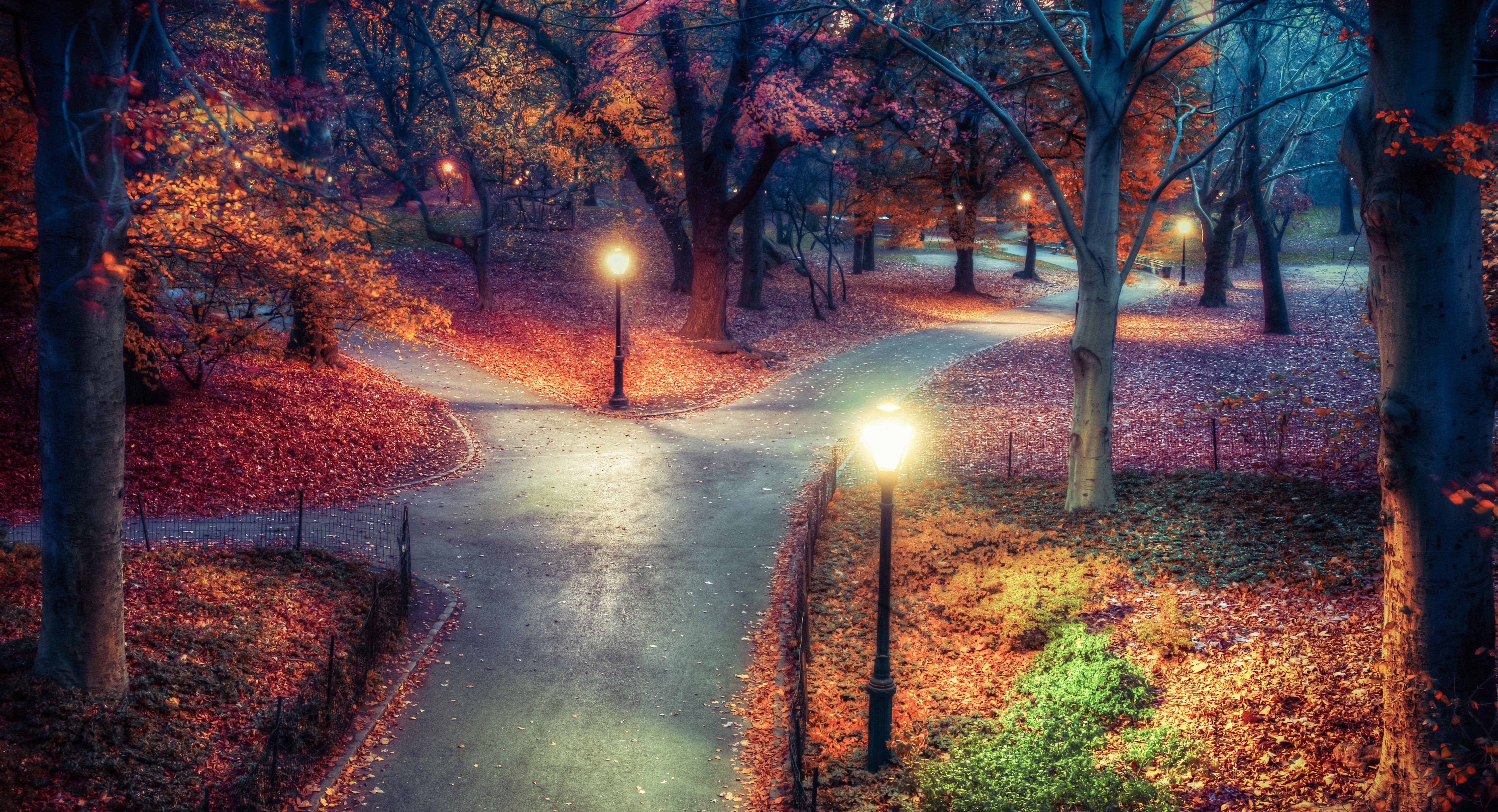 Autumn Fall Night Wallpapers