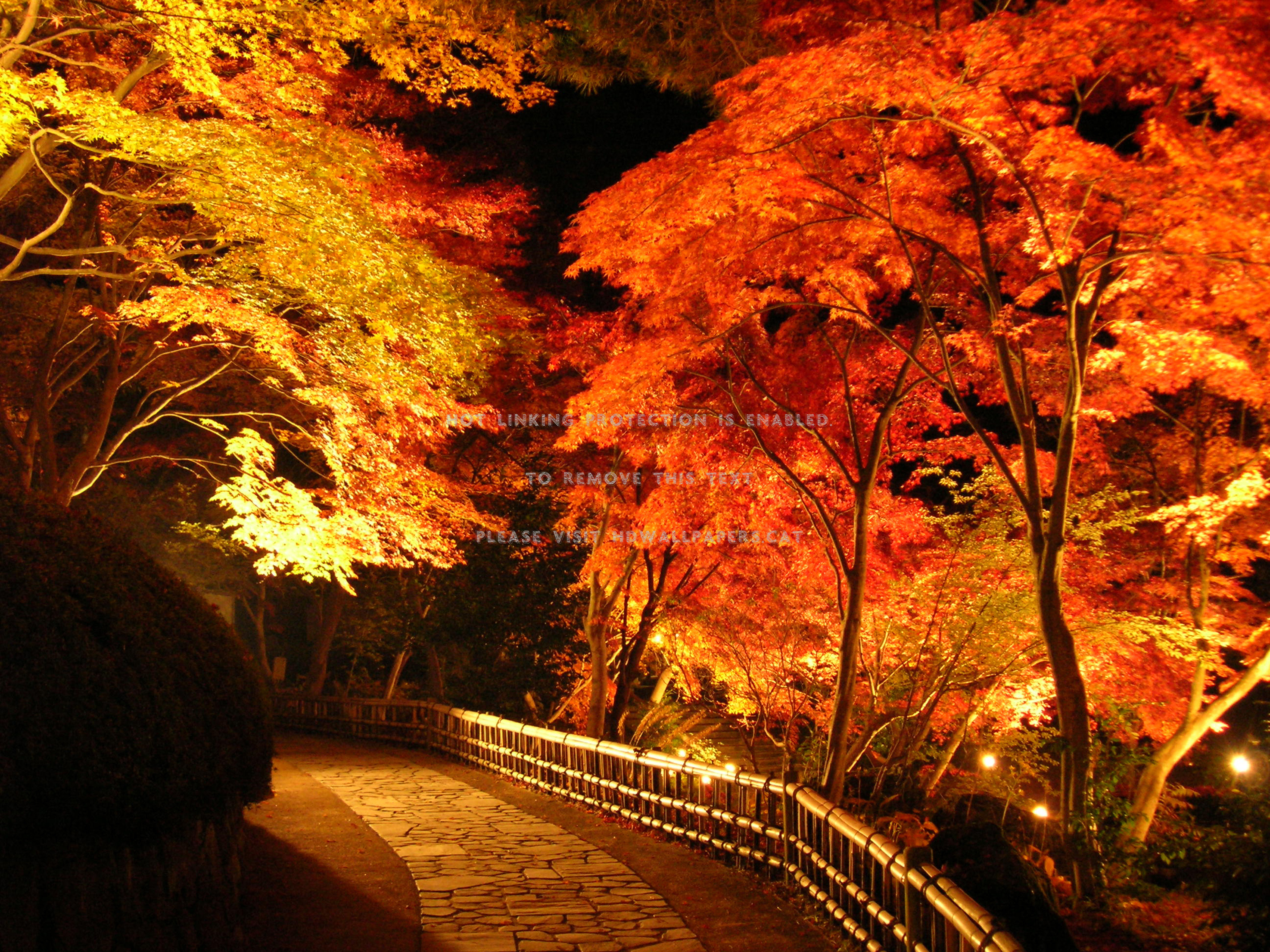 Autumn Fall Night Wallpapers