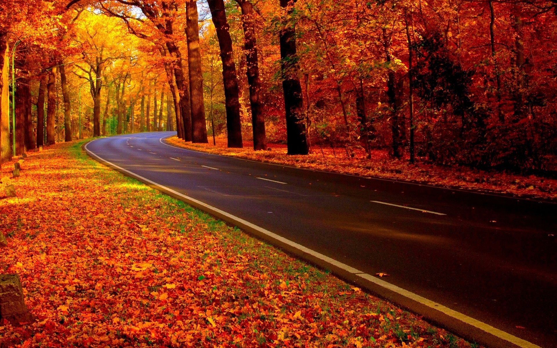 Autumn Fall Road Wallpapers