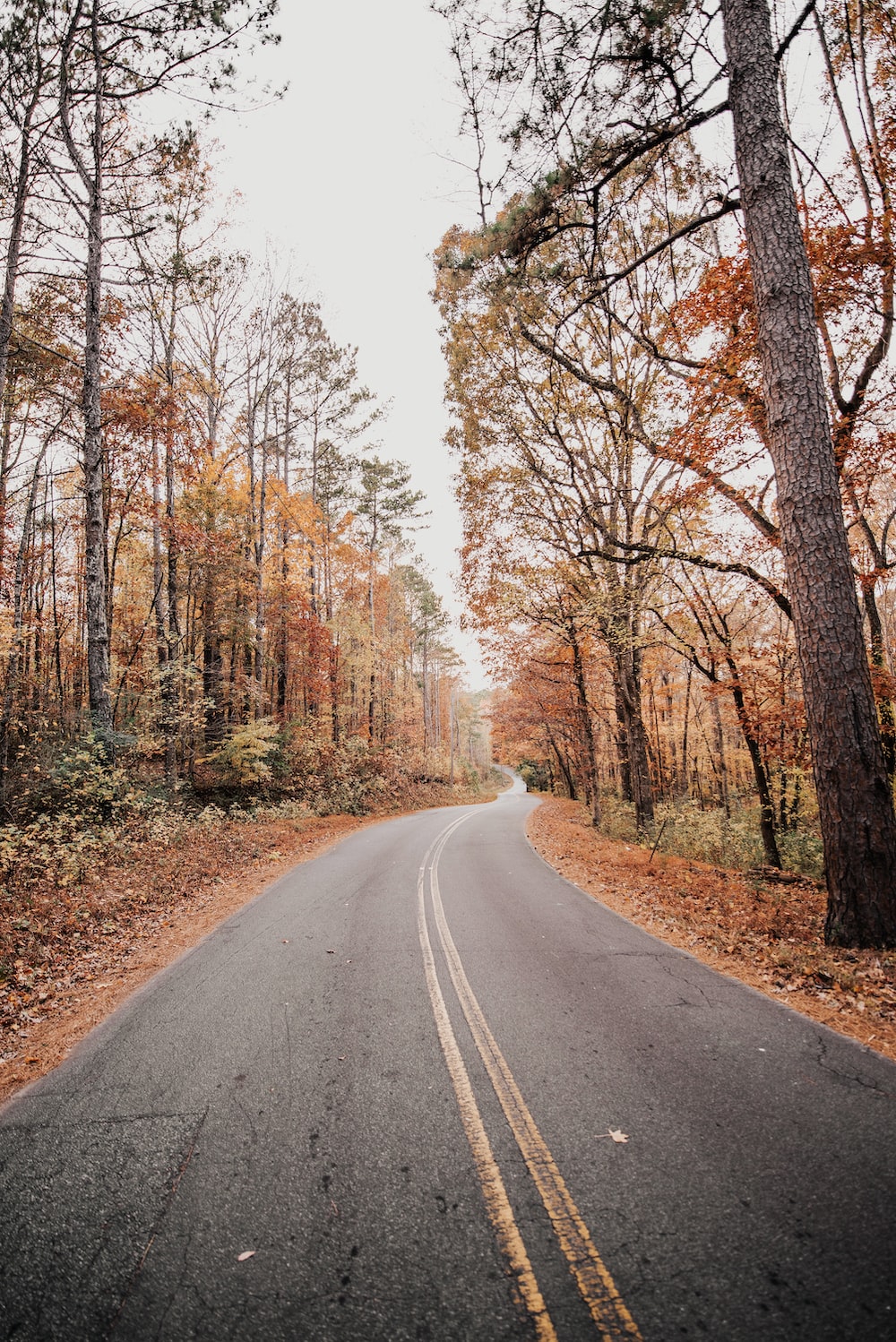 Autumn Fall Road Wallpapers