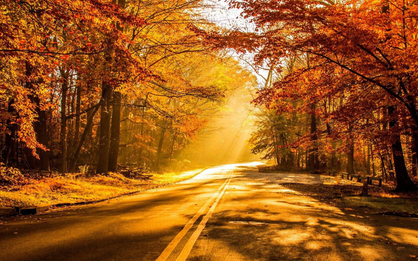 Autumn Fall Road Wallpapers