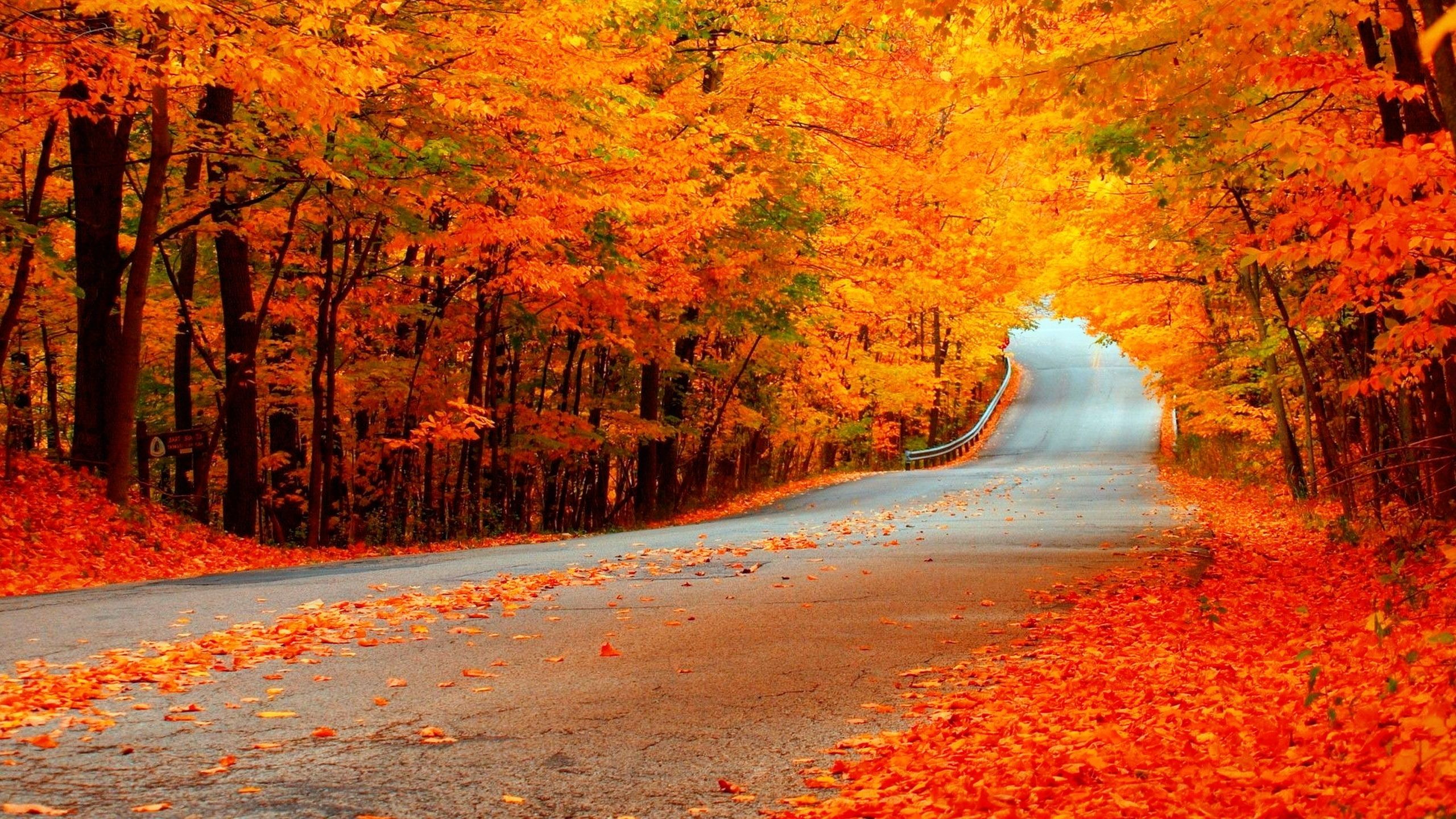 Autumn Fall Road Wallpapers