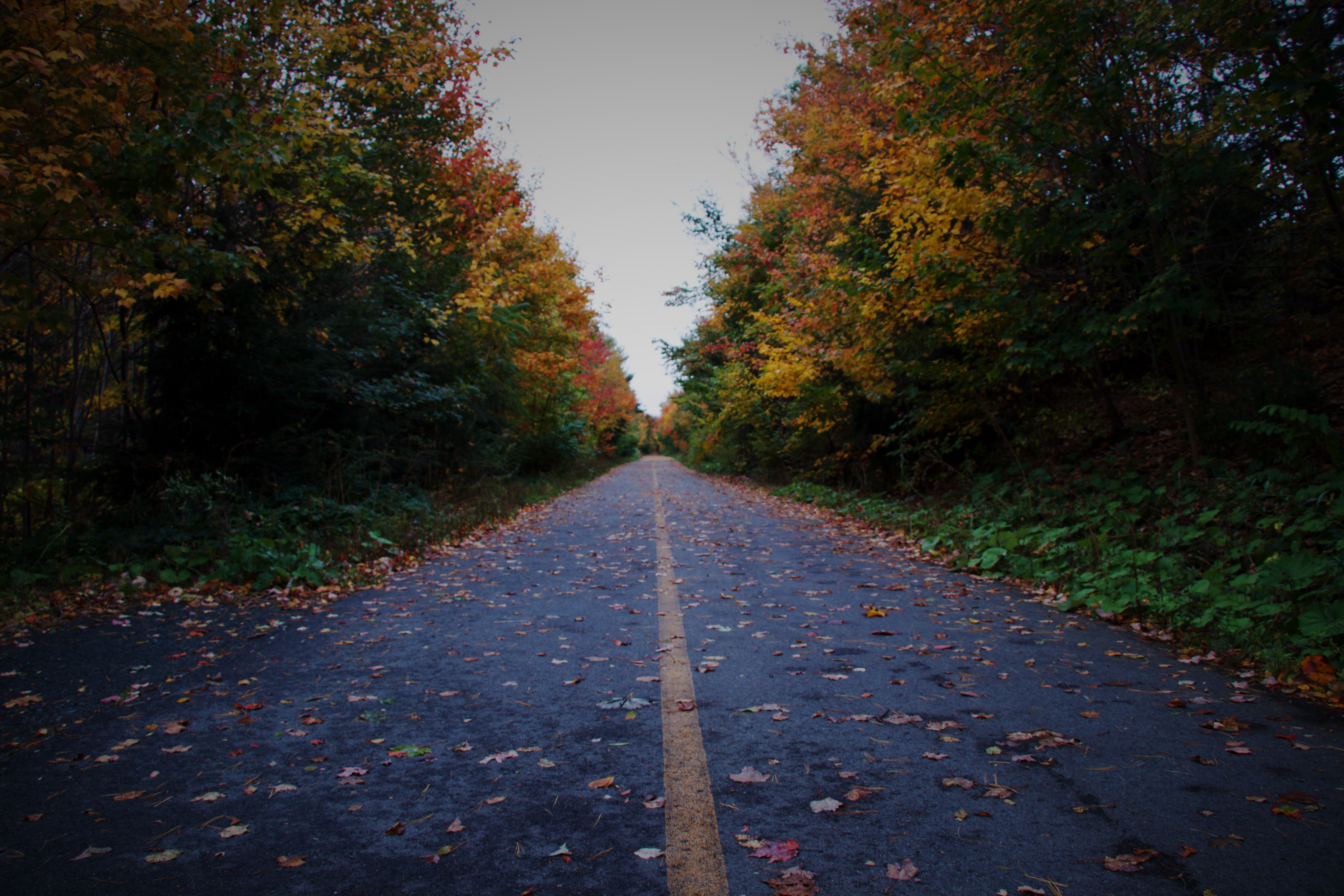 Autumn Fall Road Wallpapers