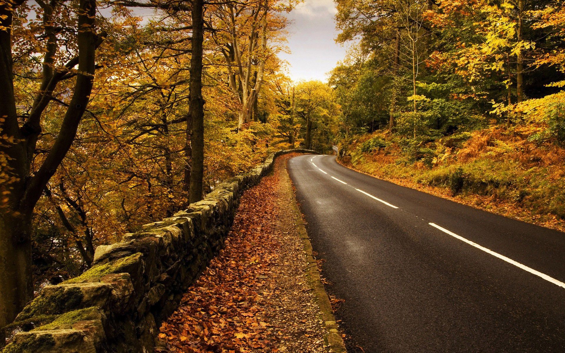 Autumn Fall Road Wallpapers