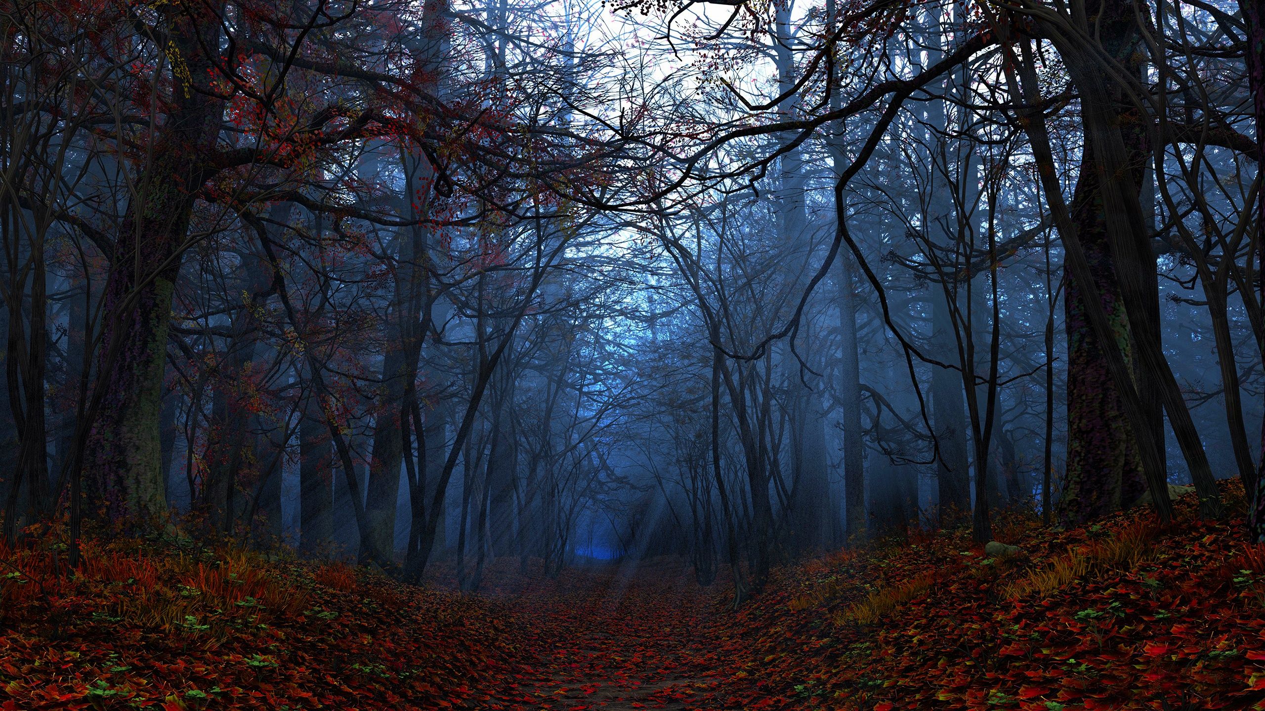 Autumn Forest Wallpapers