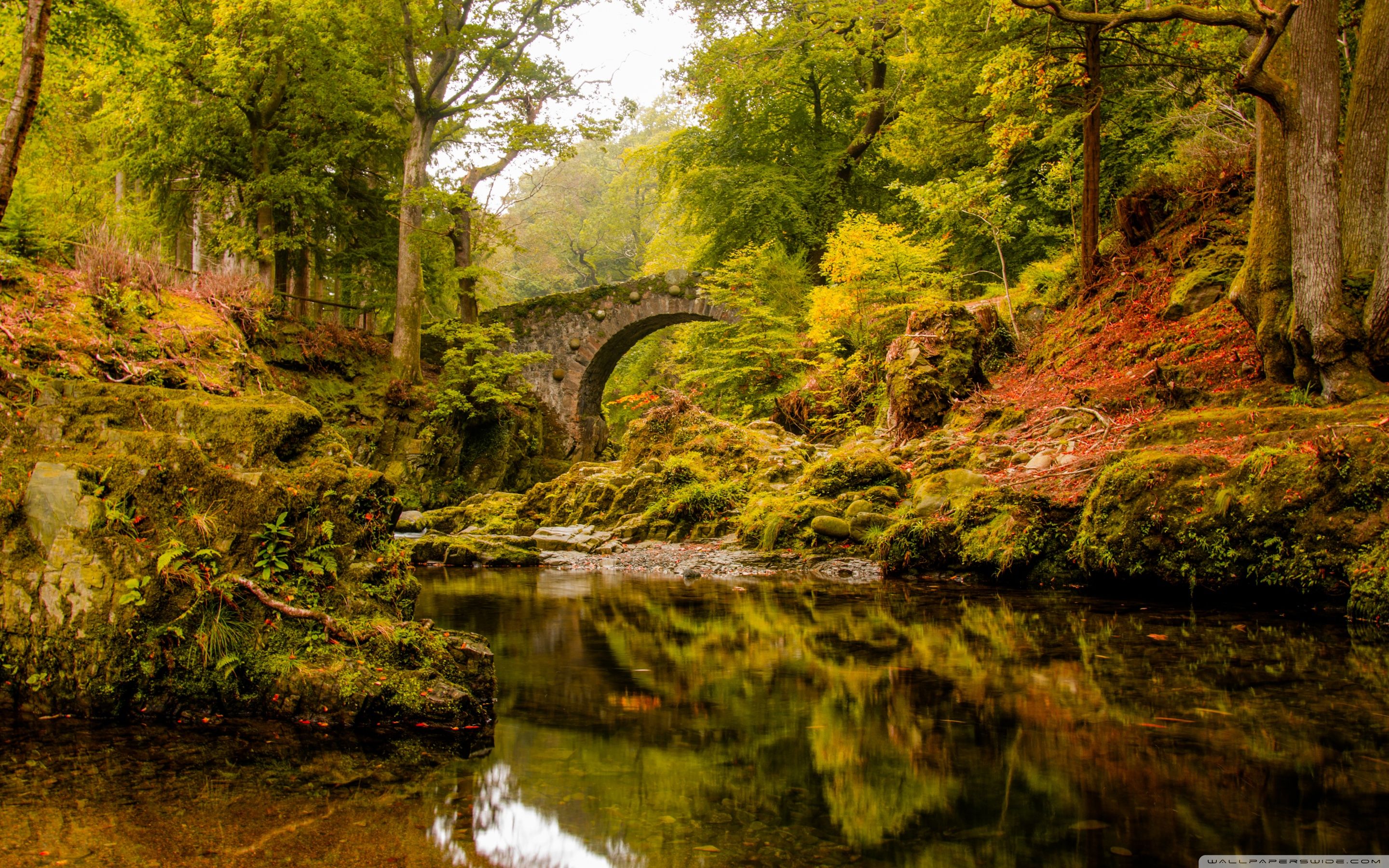 Autumn In Ireland Wallpapers