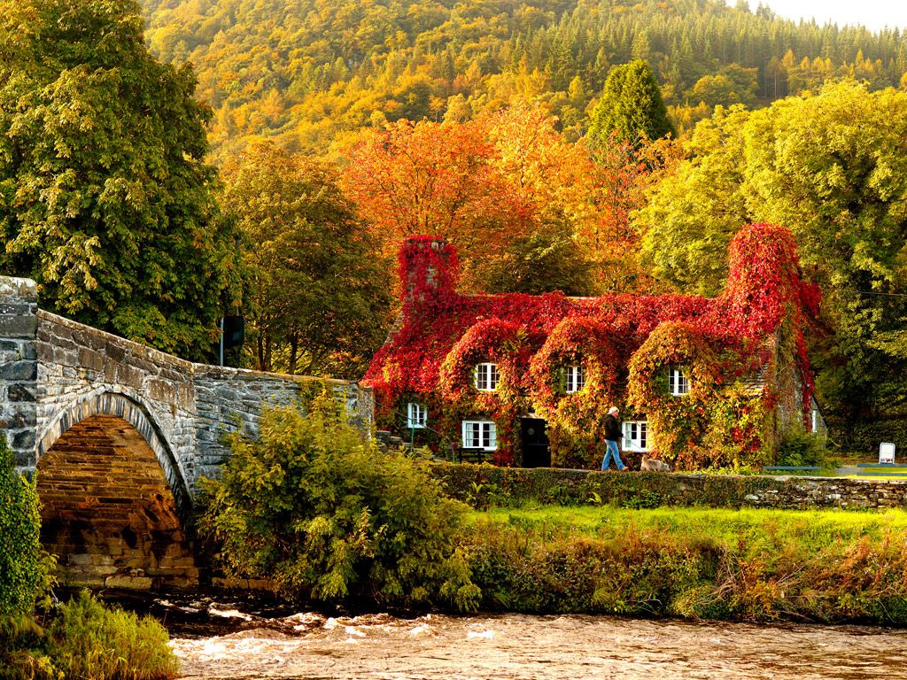 Autumn In Ireland Wallpapers