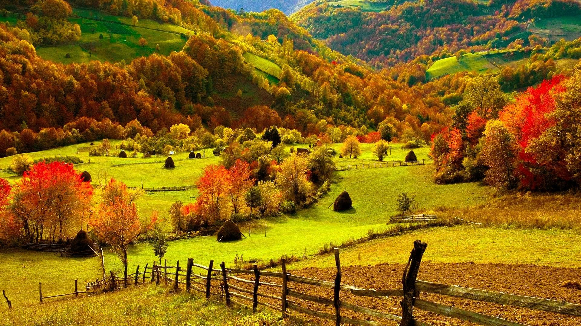 Autumn In Ireland Wallpapers