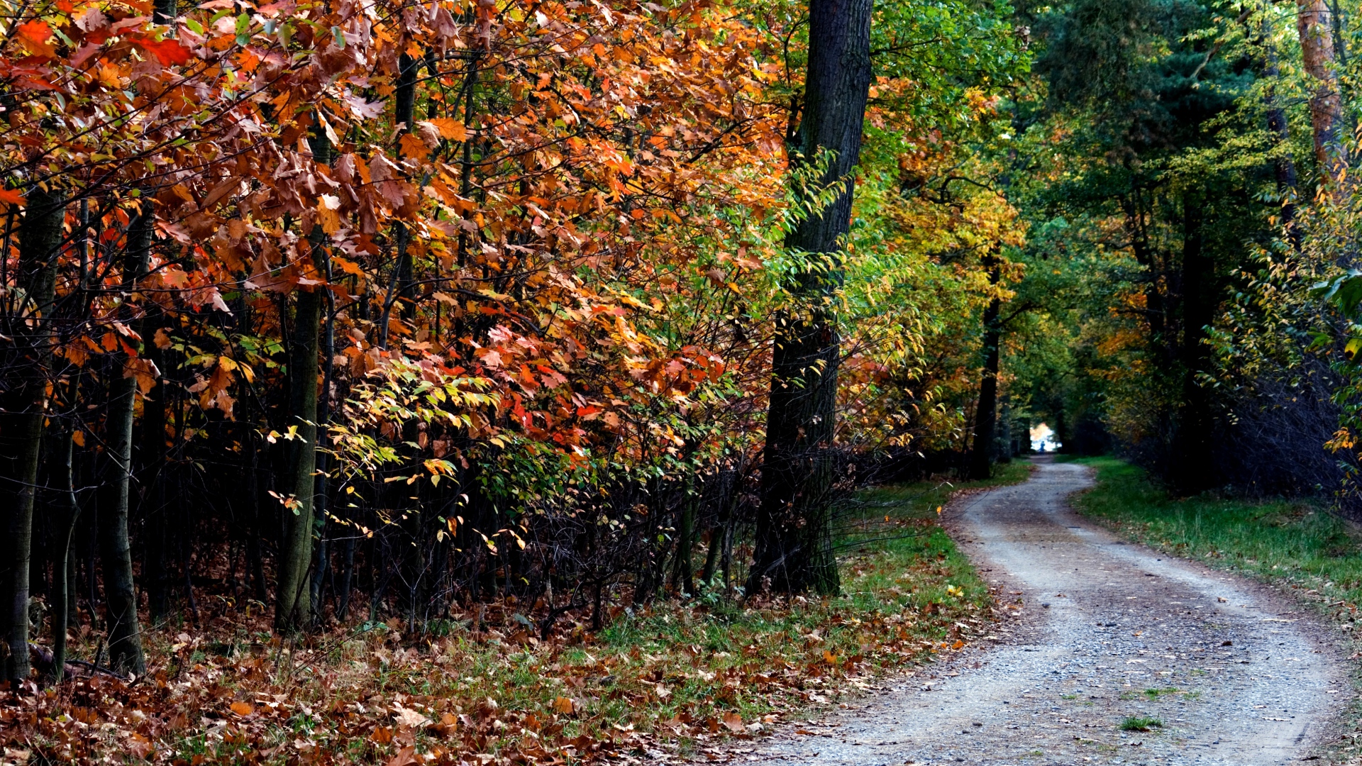 Autumn In Ireland Wallpapers