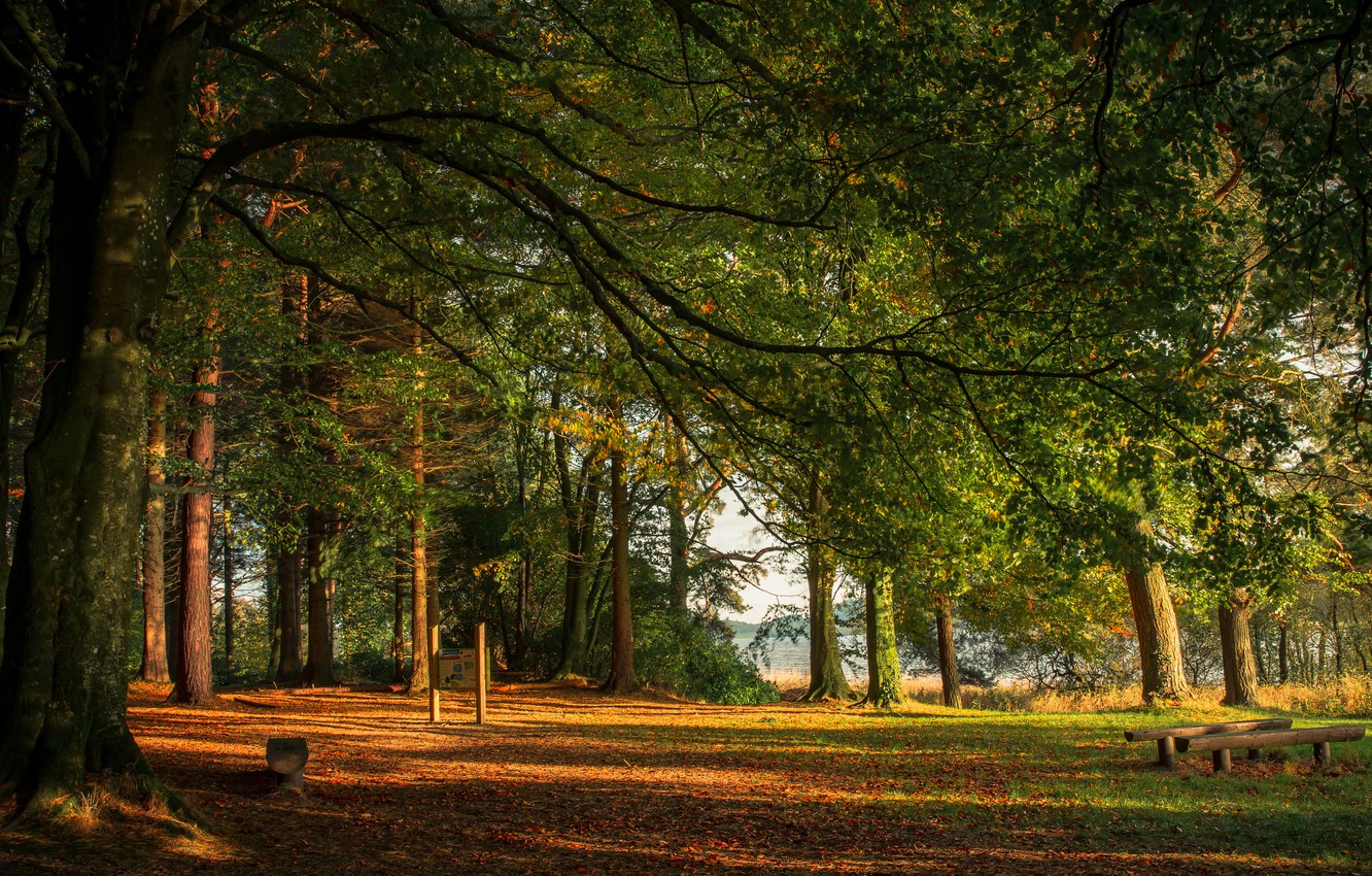 Autumn In Ireland Wallpapers