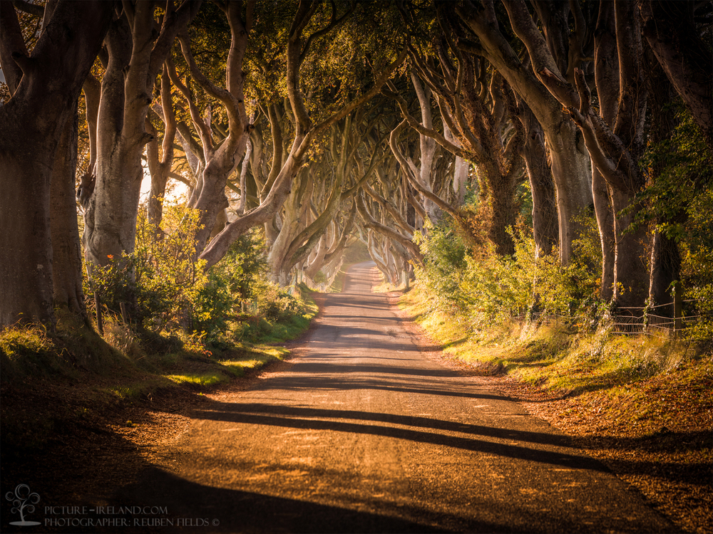 Autumn In Ireland Wallpapers