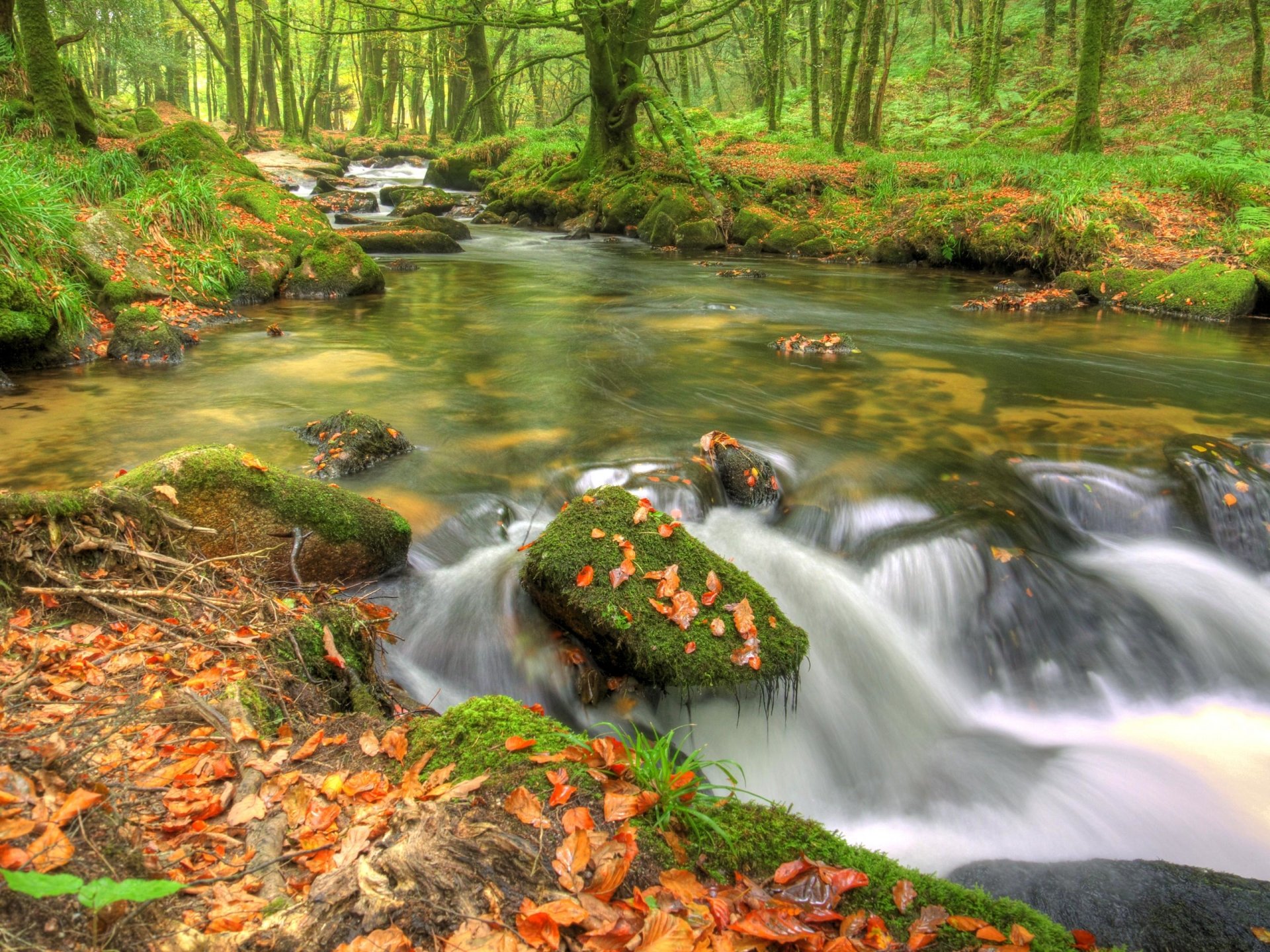 Autumn In Ireland Wallpapers