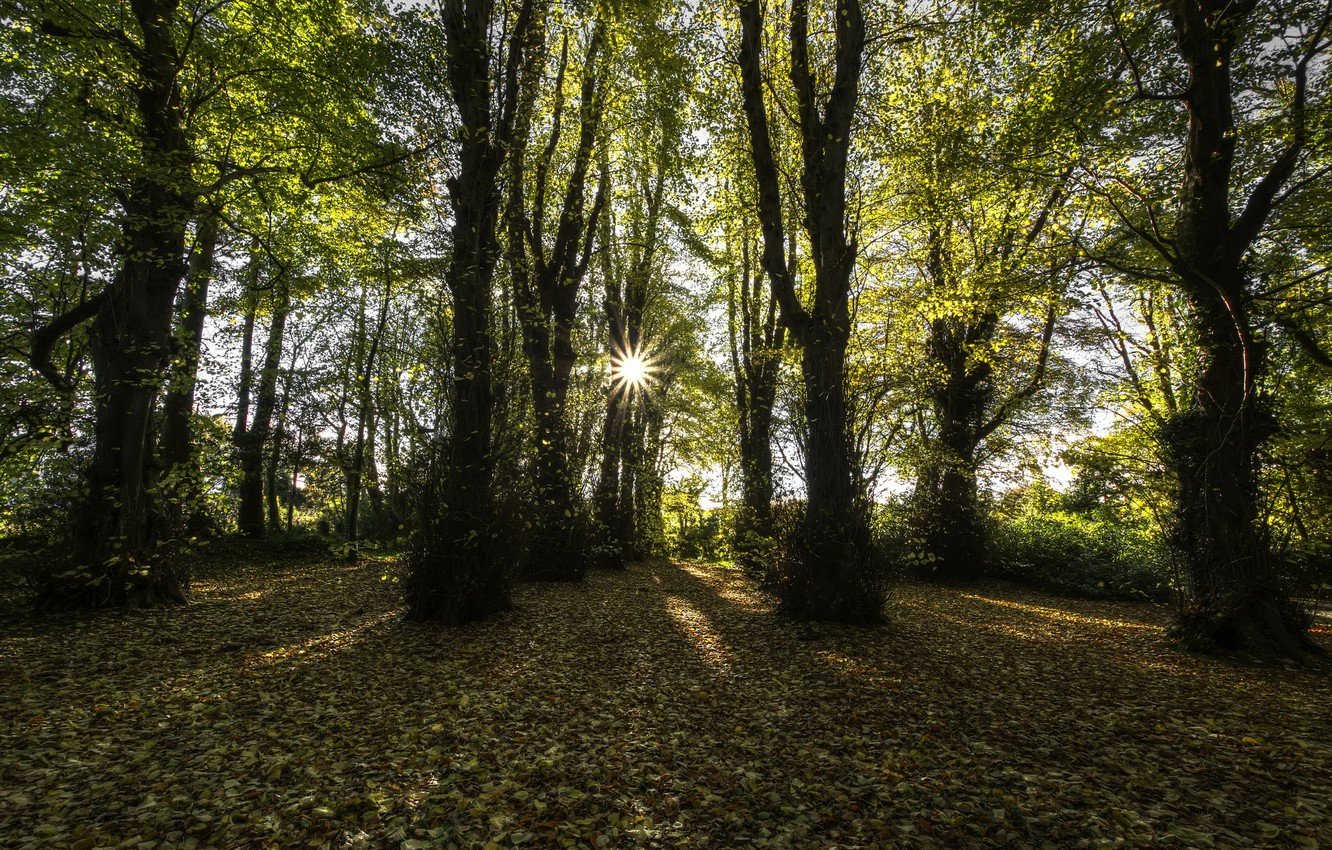 Autumn In Ireland Wallpapers