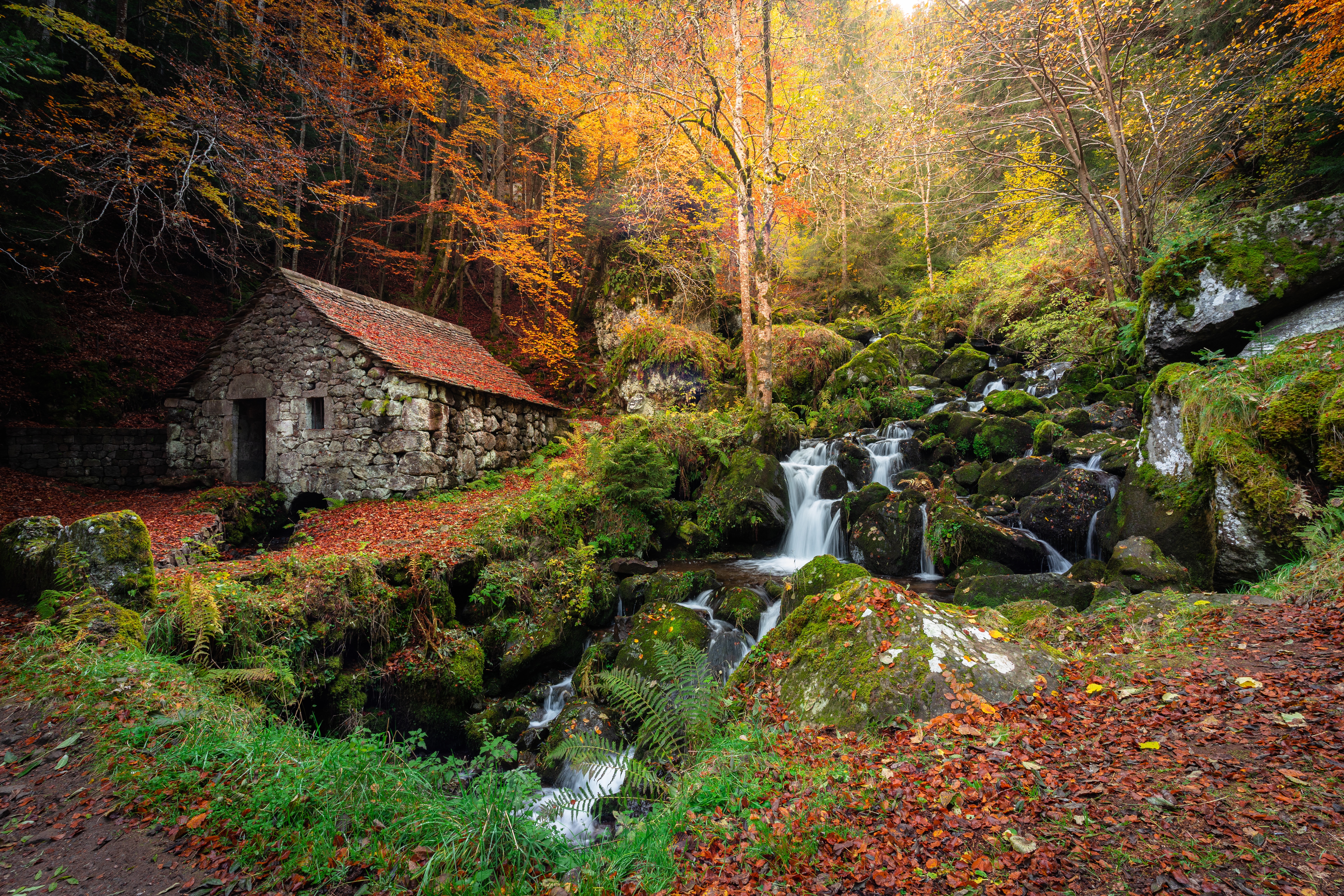 Autumn In Ireland Wallpapers