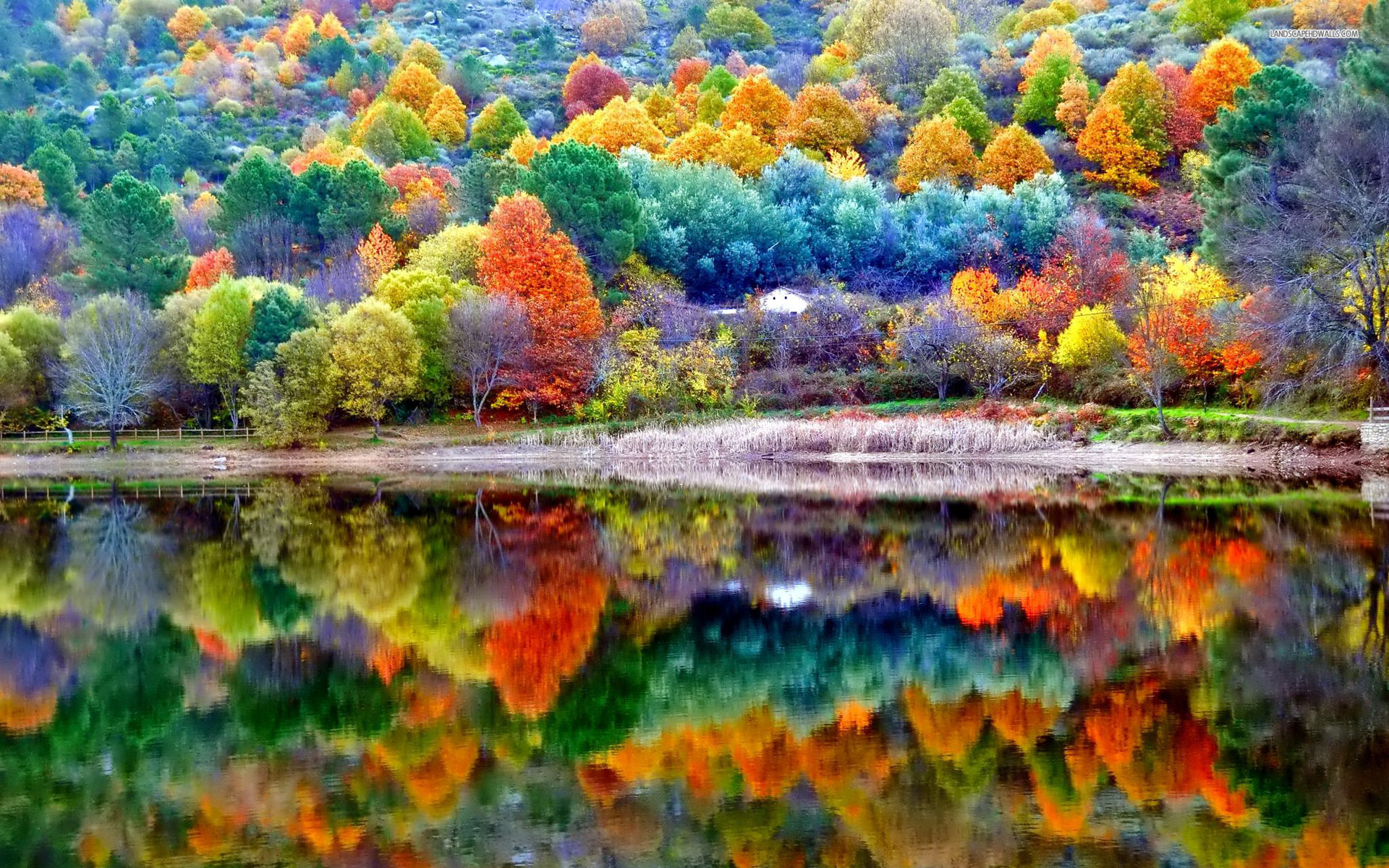 Autumn Landscape Wallpapers