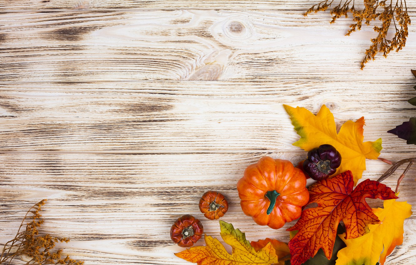 Autumn Leaves With Pumpkins Wallpapers