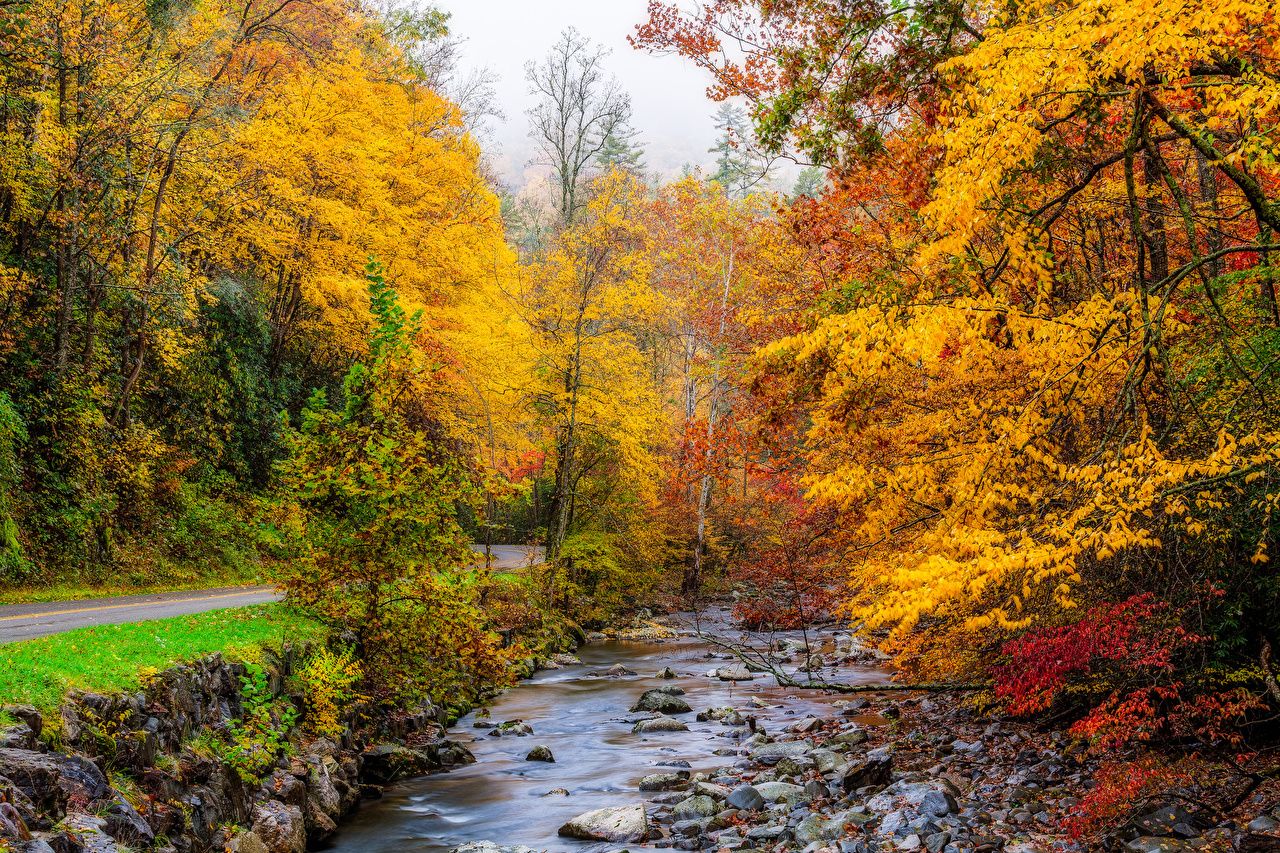 Autumn Mountain Stream Wallpapers