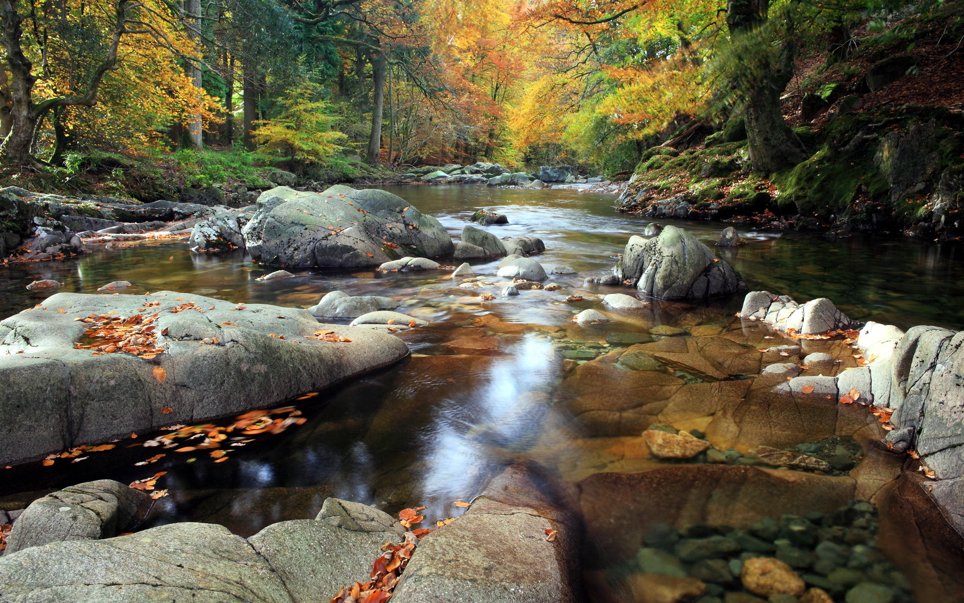 Autumn Mountain Stream Wallpapers